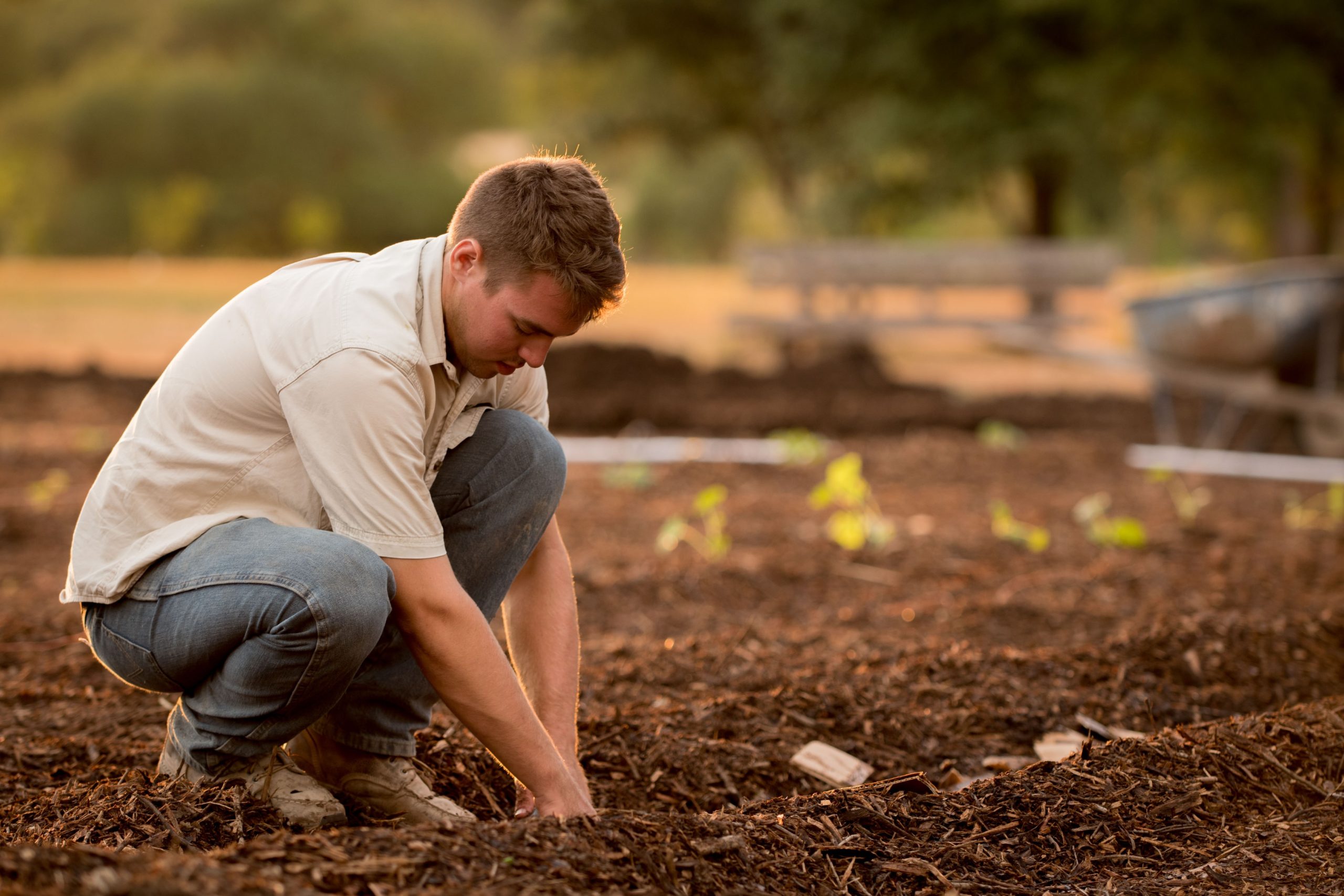 Tend Your Own Garden CraigThompson